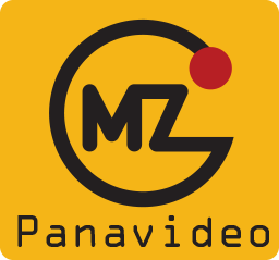 PANAVIDEO