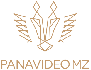 PANAVIDEO