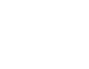 PANAVIDEO